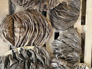 Salted Dried Beef Omasum