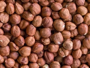 Natural Raw Hazelnut Kernels